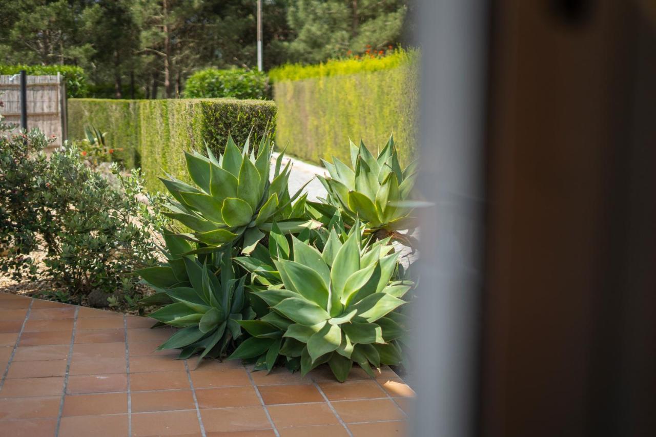 Casa Garrod - Spacious Family Villa 阿尔热祖尔 外观 照片